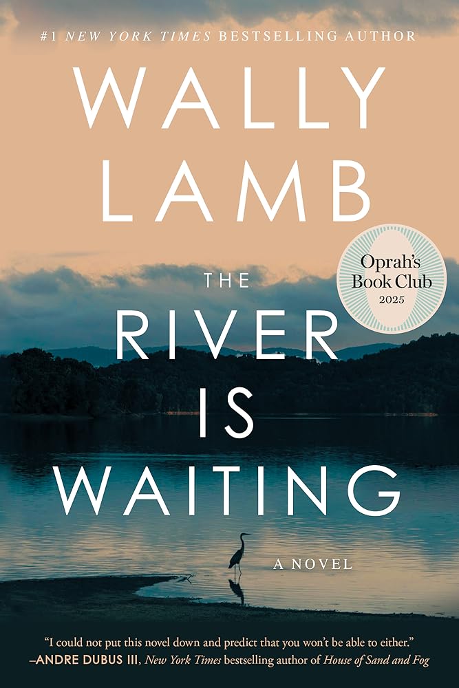 The River Is Waiting (Oprah's Book Club): A Novel cover image