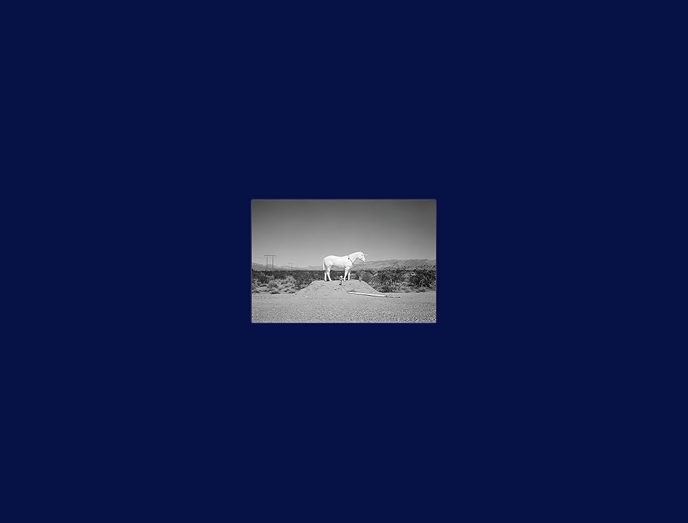 Prophetic Kingdom cover image