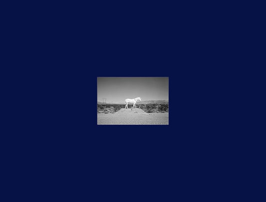 Prophetic Kingdom cover image
