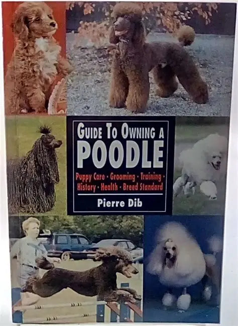 Guide to Owning a Poodle